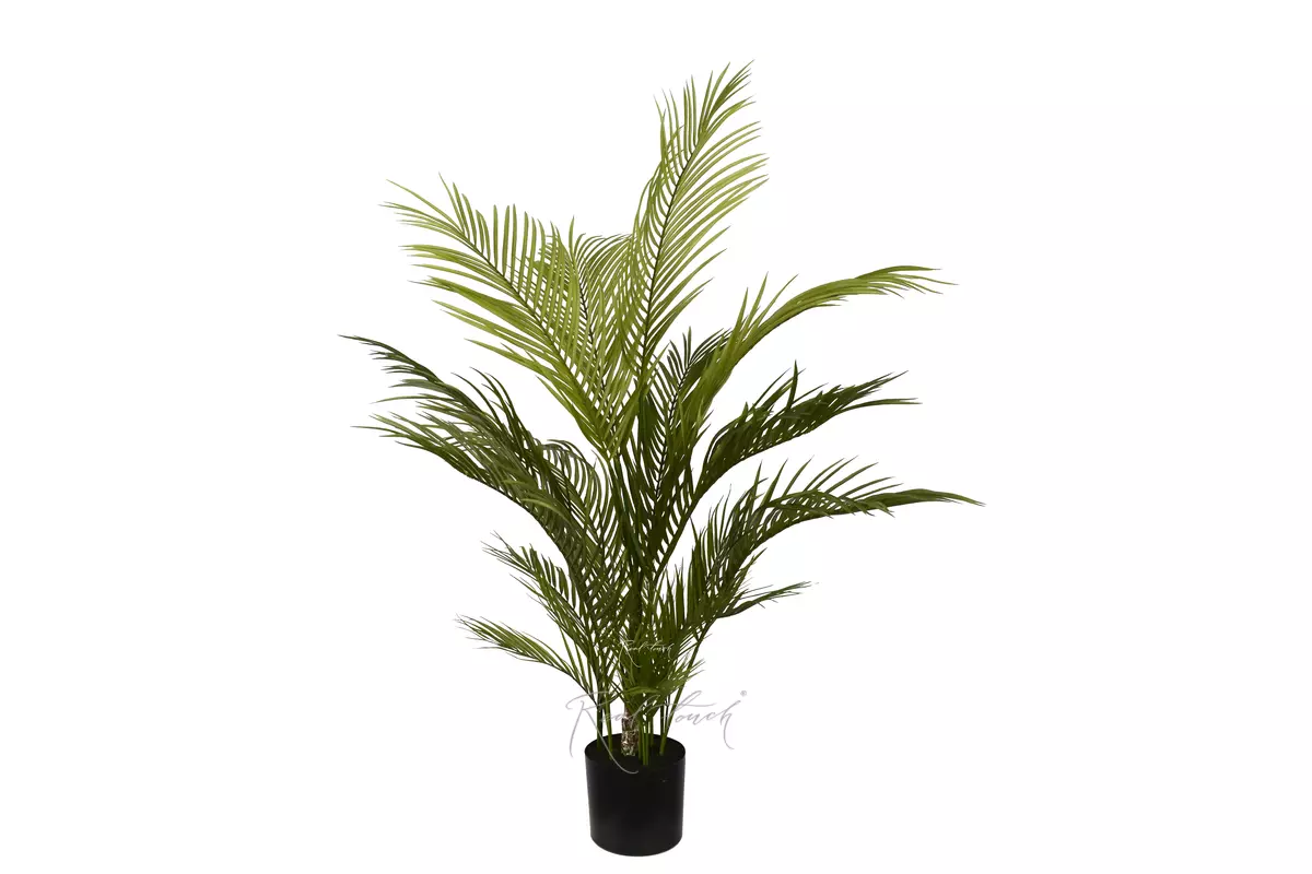 Пальма Арека Хризалидокарпус 120см в кашпо - Зеленый Пальма Арека Хризалидокарпус 120см в кашпо - Зеленый