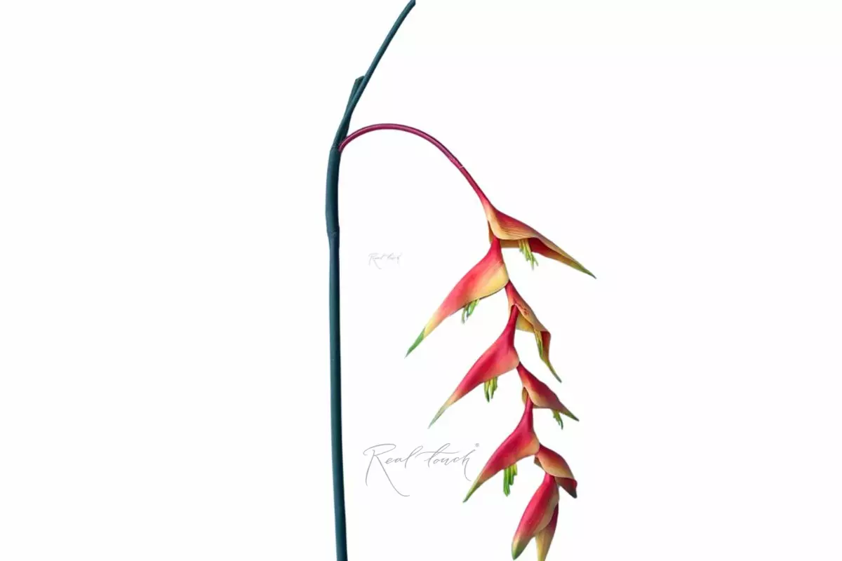 Цветок Геликонии - Красный