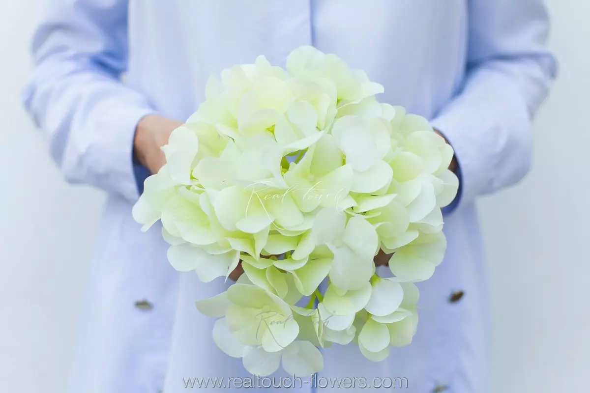 Гортензия соцветие (без стебля) - Нежно-салатовый
