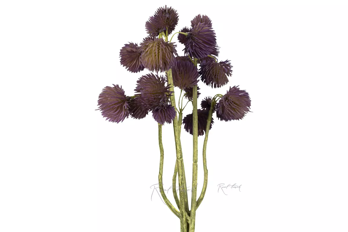 Гомфрена (пучок из 3шт) - Фиолетовый Гомфрена (пучок из 3шт) - Фиолетовый