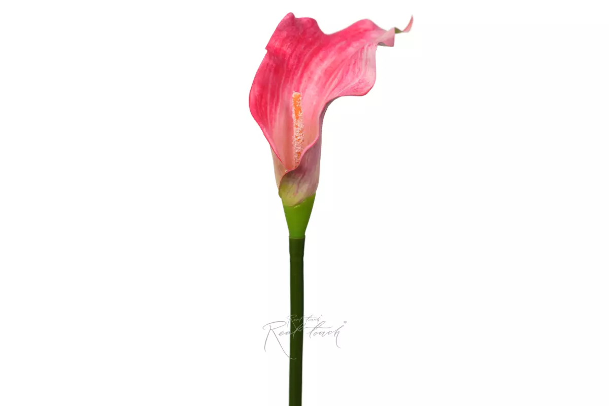 Калла 3D большая - Розовый