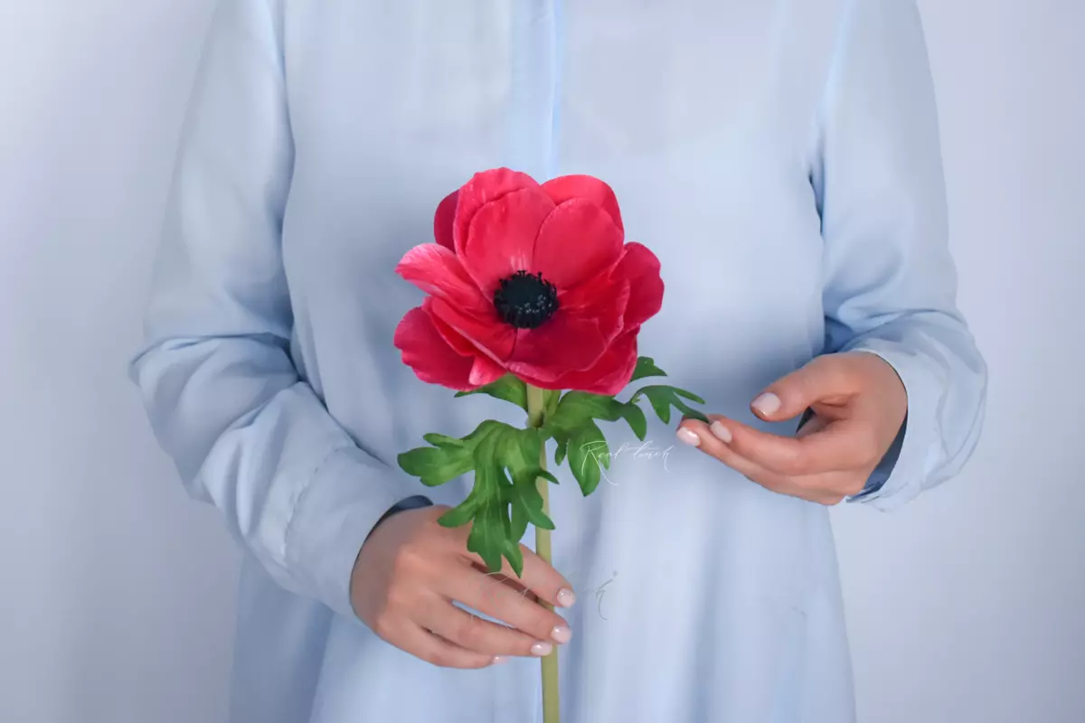 Анемона de Caen - Коралловый