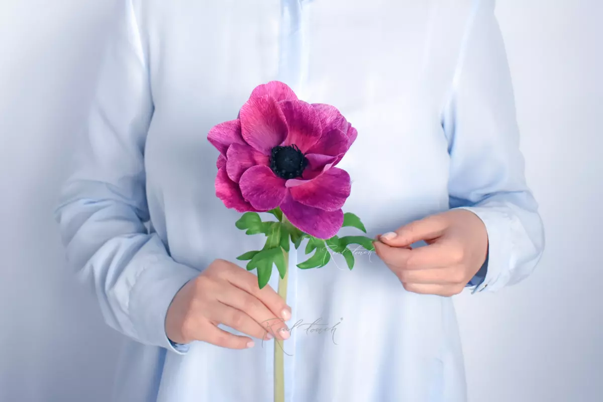 Анемона de Caen - Фиолетово-пурпурный