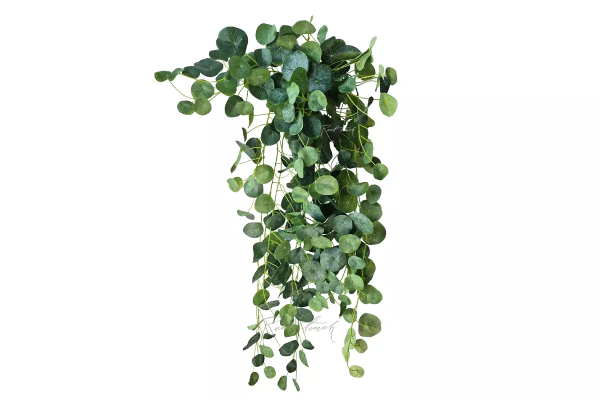 Пилея пеперомиевидная 100см - Зеленый