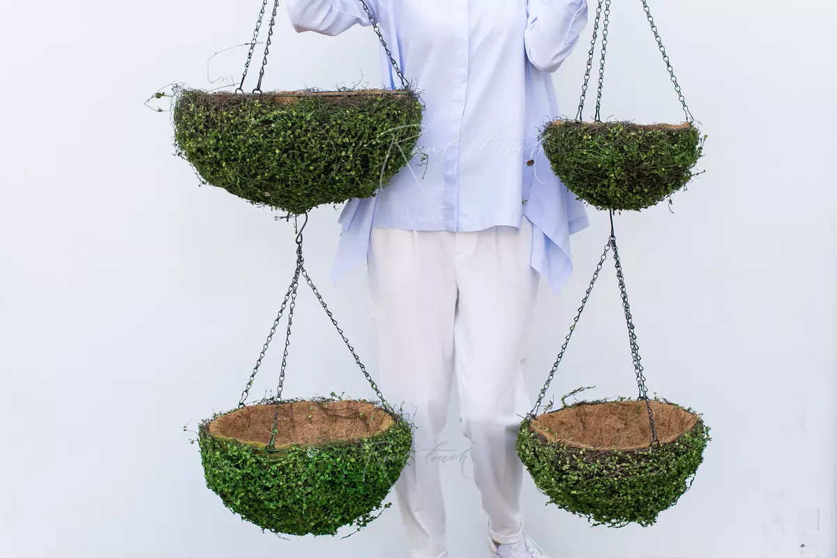 Подвесные кашпо из мюленбекии D45 - Зеленый