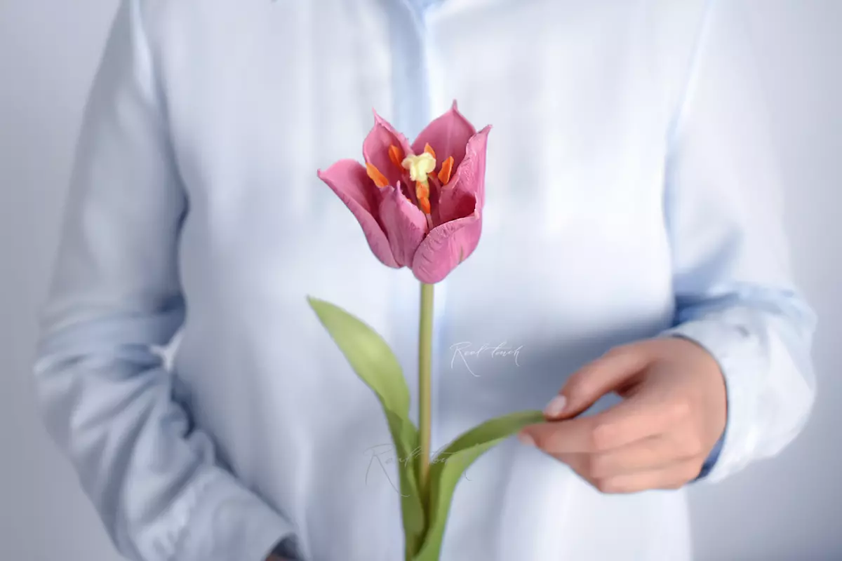 Тюльпан лилиецветный малый - Лиловый