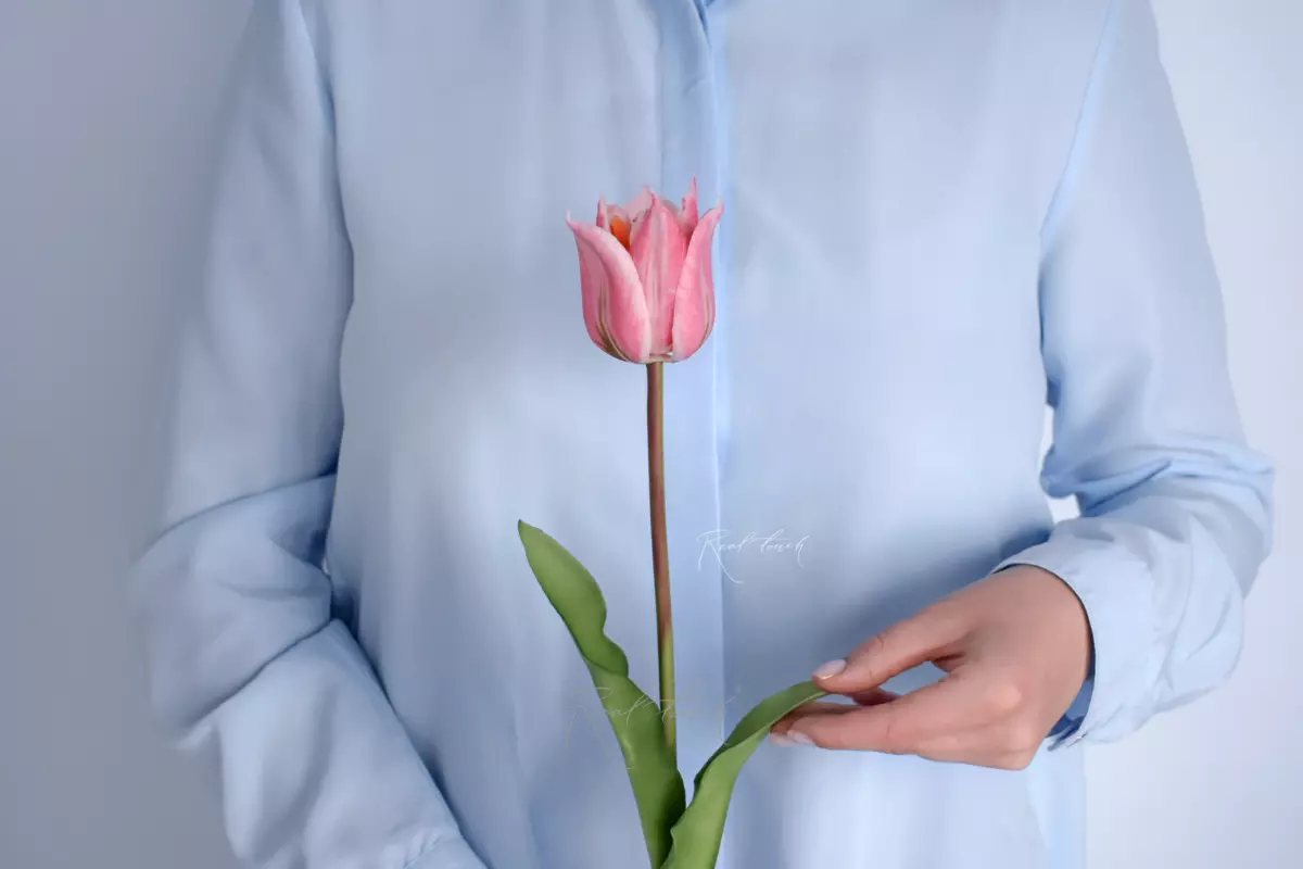 Тюльпан лилиецветный малый - Розовый