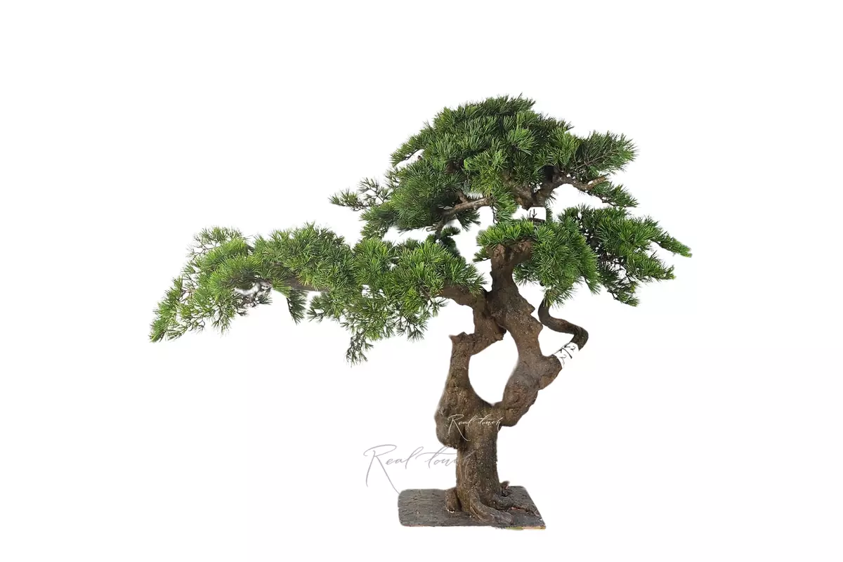 Бонсай в. 120 см/ ш. 150 см - Зеленый