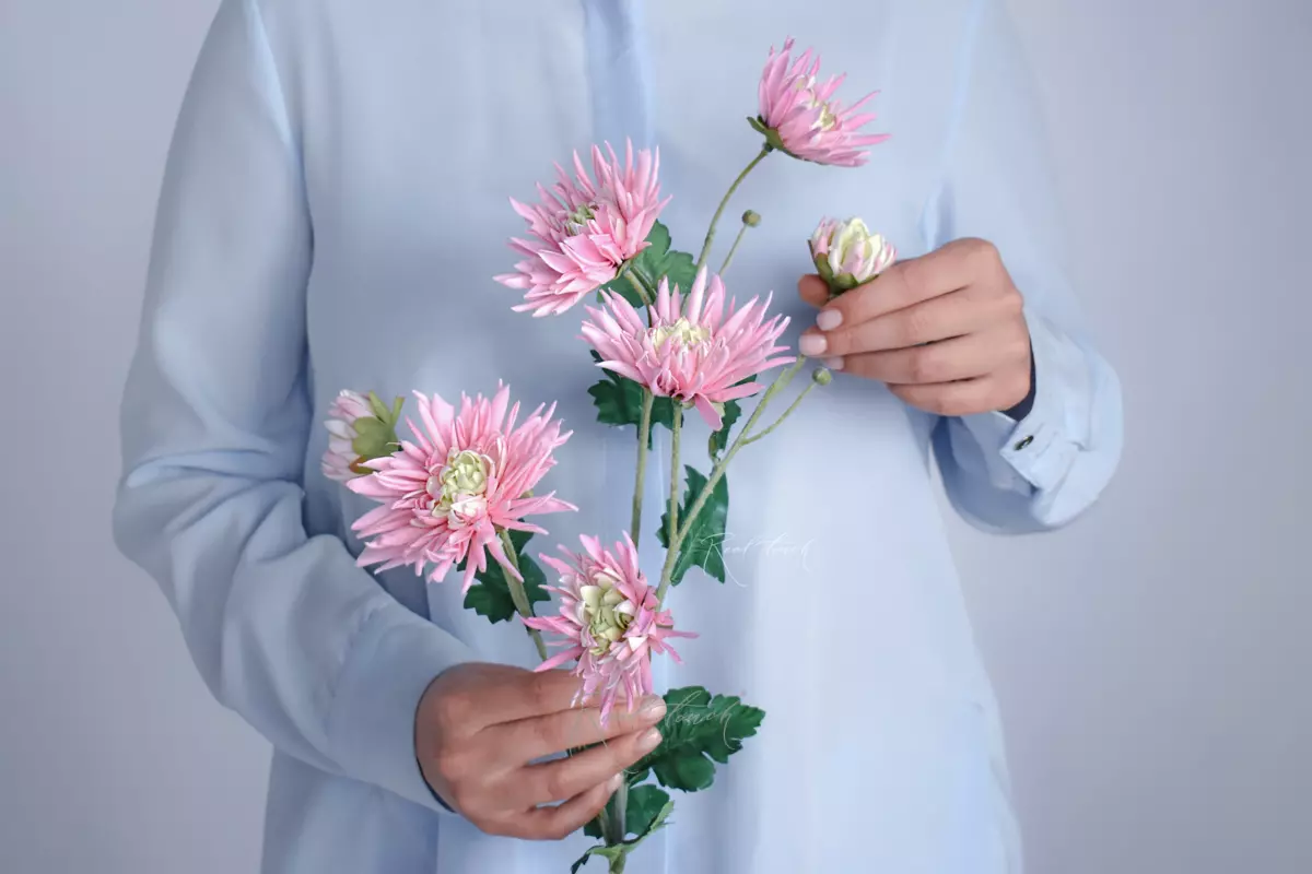 Хризантема Анастасия - Розовый