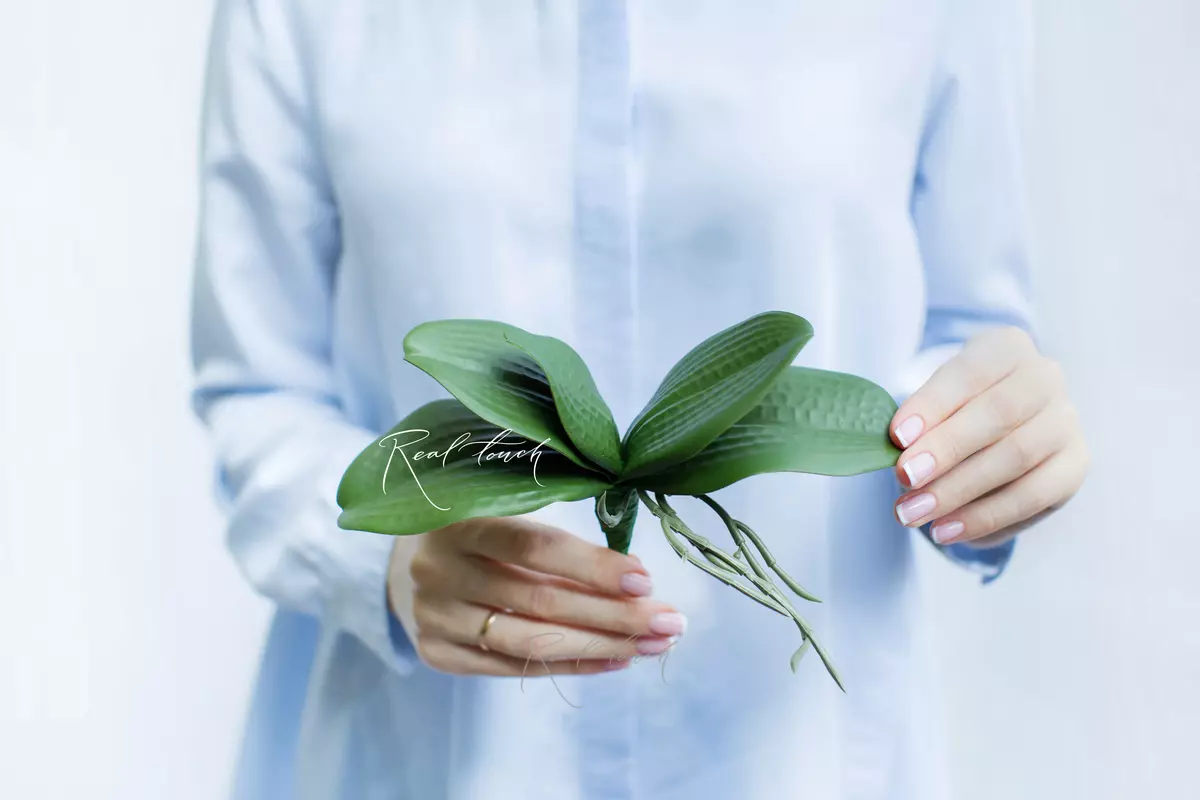 Листья Орхидеи малый 20см - Зеленый Листья Орхидеи малый 20см - Зеленый