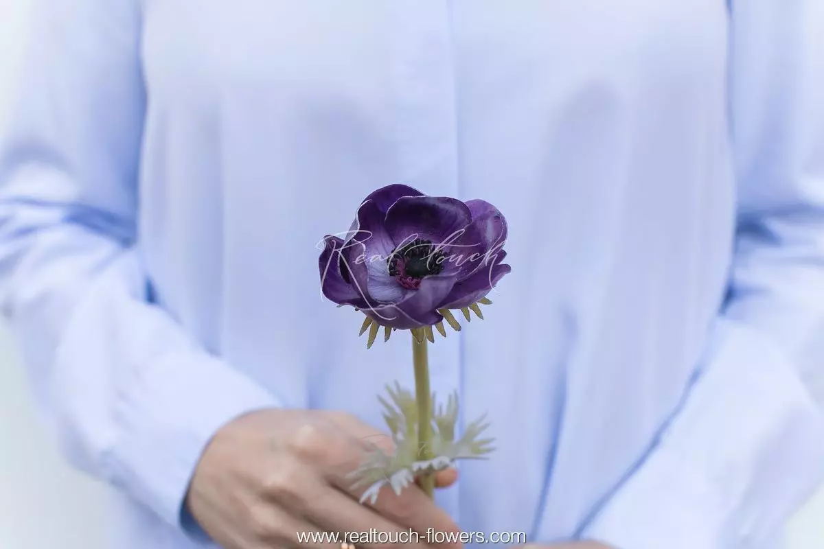 Анемон (96) - Фиолетовый (уценён) Анемон (96) - Фиолетовый (уценён)