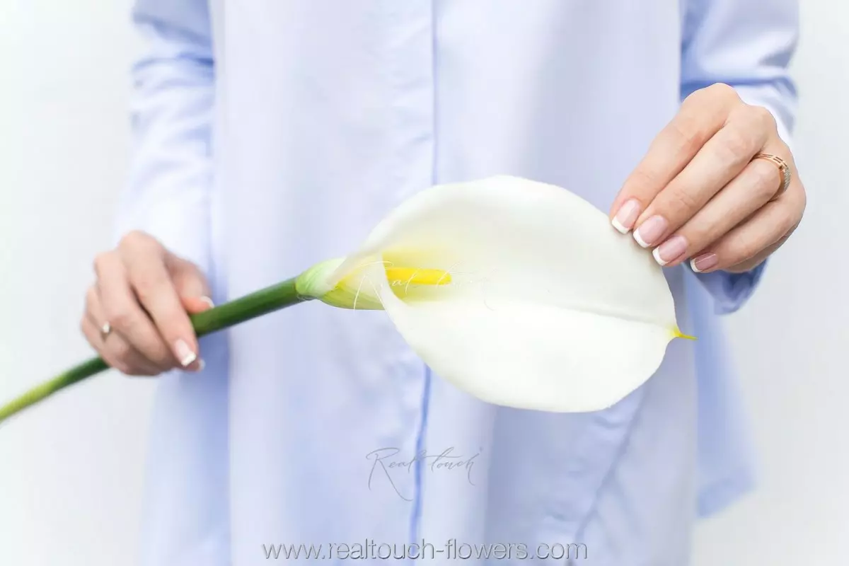 Калла Премиум - Белый