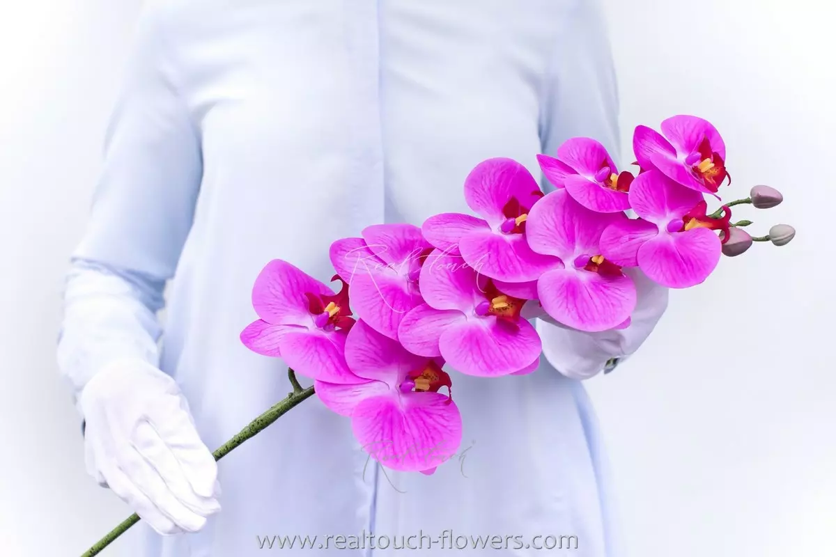 Орхидея 9 соцветий HQ - Фуксия Орхидея 9 соцветий HQ - Фуксия