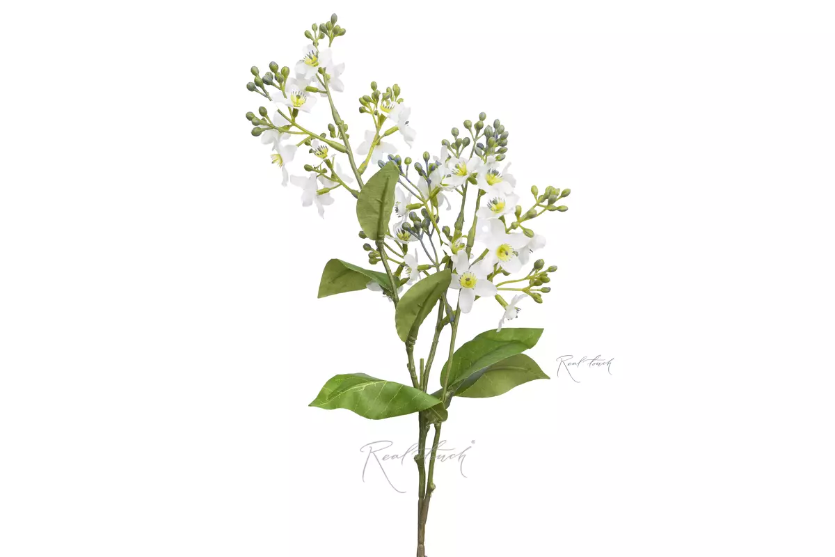 Твидия - Белый Твидия - Белый