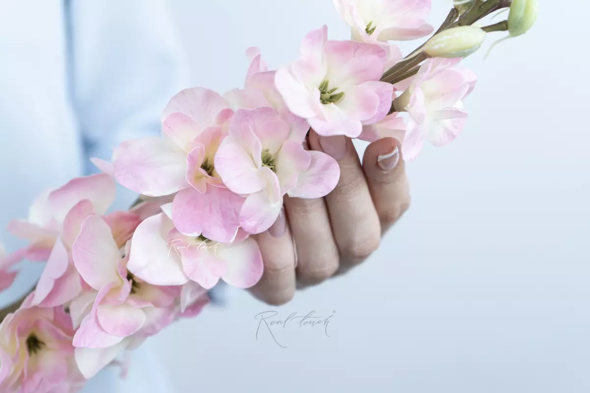 Дельфиниум малый - Светло-розовый