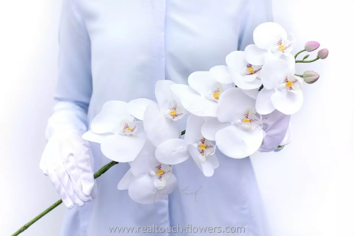 Орхидея 9 соцветий HQ - Белый