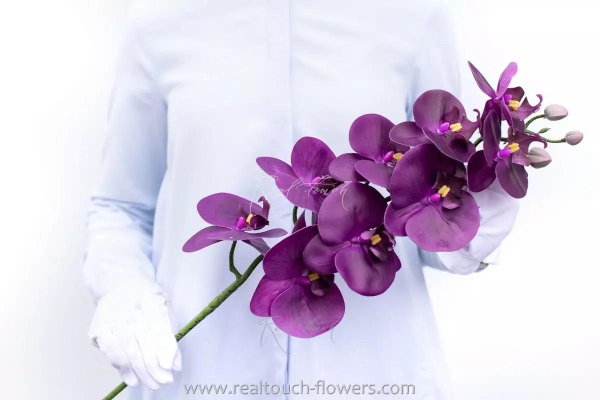 Орхидея 9 соцветий HQ - Темно-фиолетовый Орхидея 9 соцветий HQ - Темно-фиолетовый