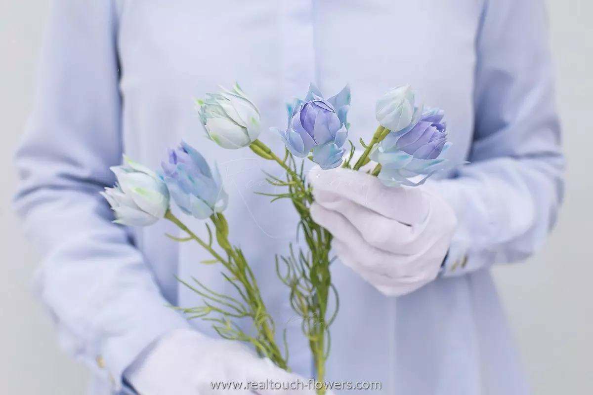 Серрурия флорида - Голубой Серрурия флорида - Голубой