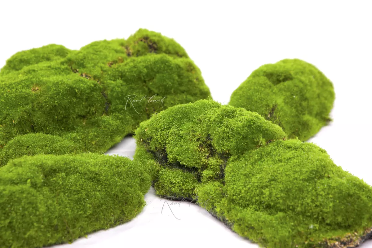 Кочки мха большие (набор из 4 шт) - Зеленый