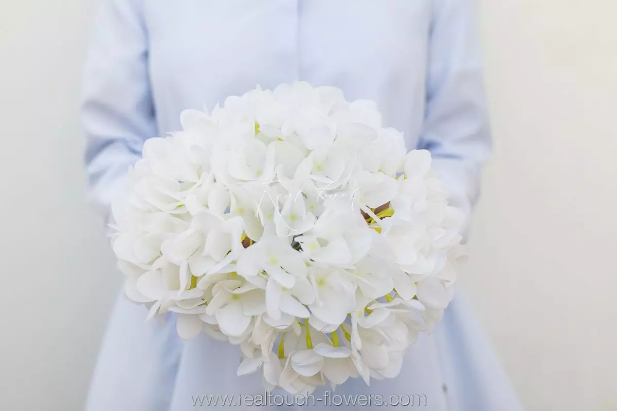 Гортензия соцветие XL (без стебля) - Белый