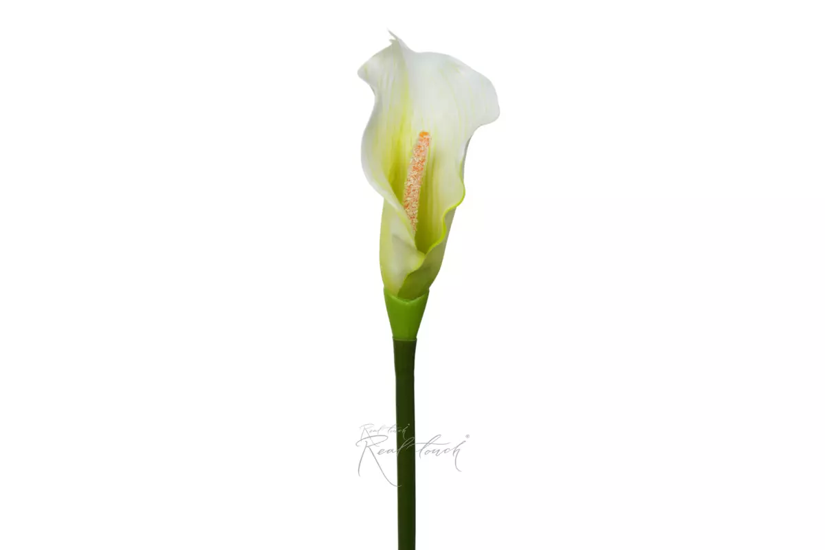 Калла 3D малая - Белый