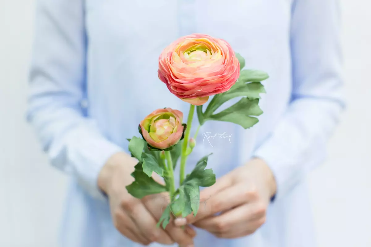 Ранункулюс Клуни - Розовый