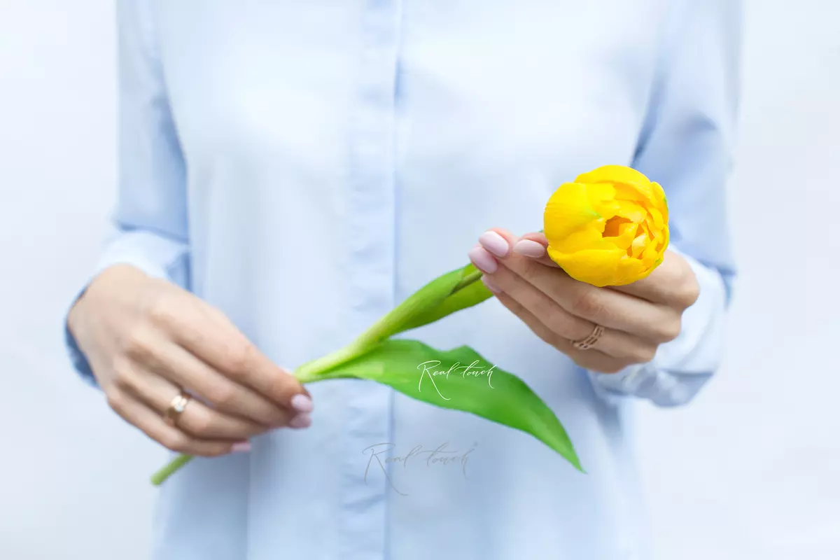 Пионовидный тюльпан - Желтый