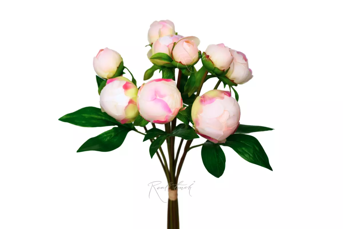 Букет закрытых пионов (9 бутонов) - Бело-розовый Букет закрытых пионов (9 бутонов) - Бело-розовый