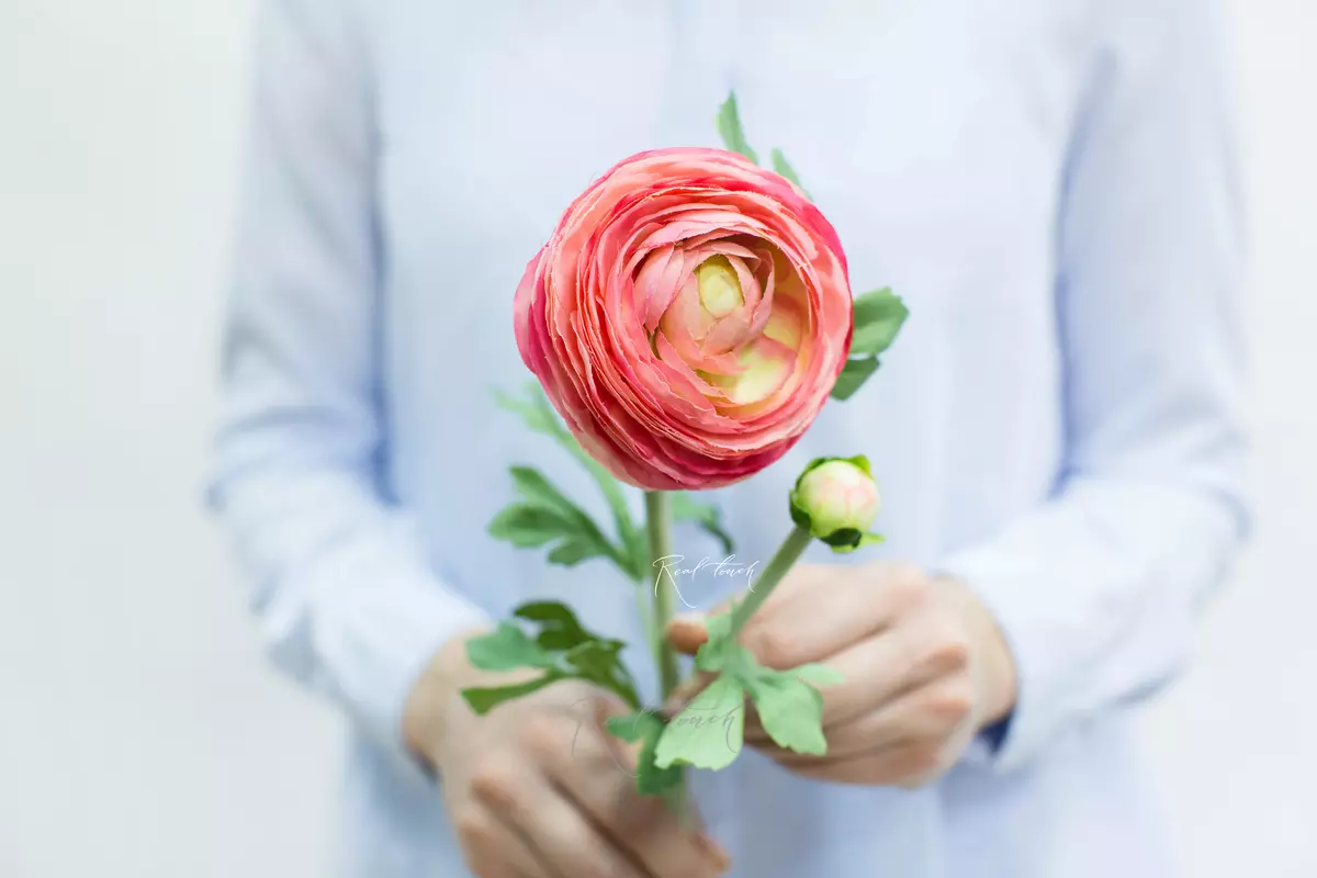 Ранункулюс Клуни крупный - Розовый Ранункулюс Клуни крупный - Розовый