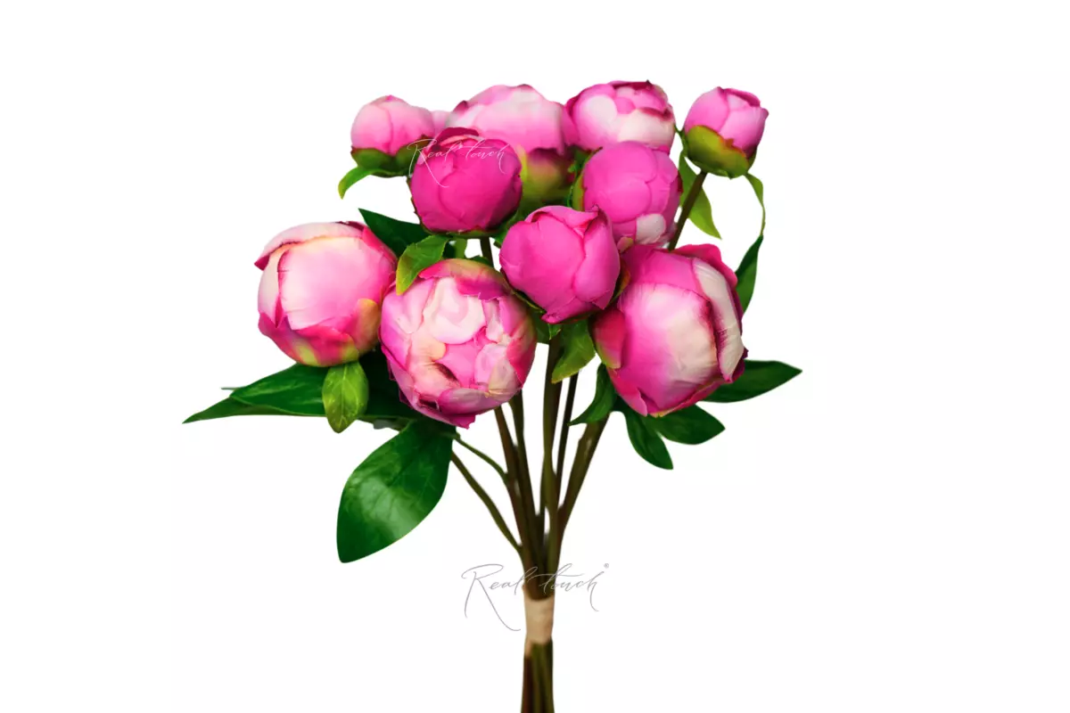 Букет закрытых пионов (9 бутонов) - Темно-розовый Букет закрытых пионов (9 бутонов) - Темно-розовый