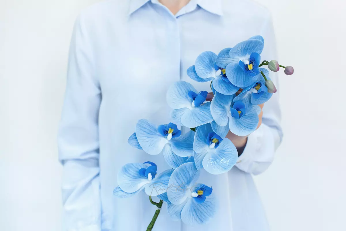 Орхидея 9 соцветий HQ - Голубой