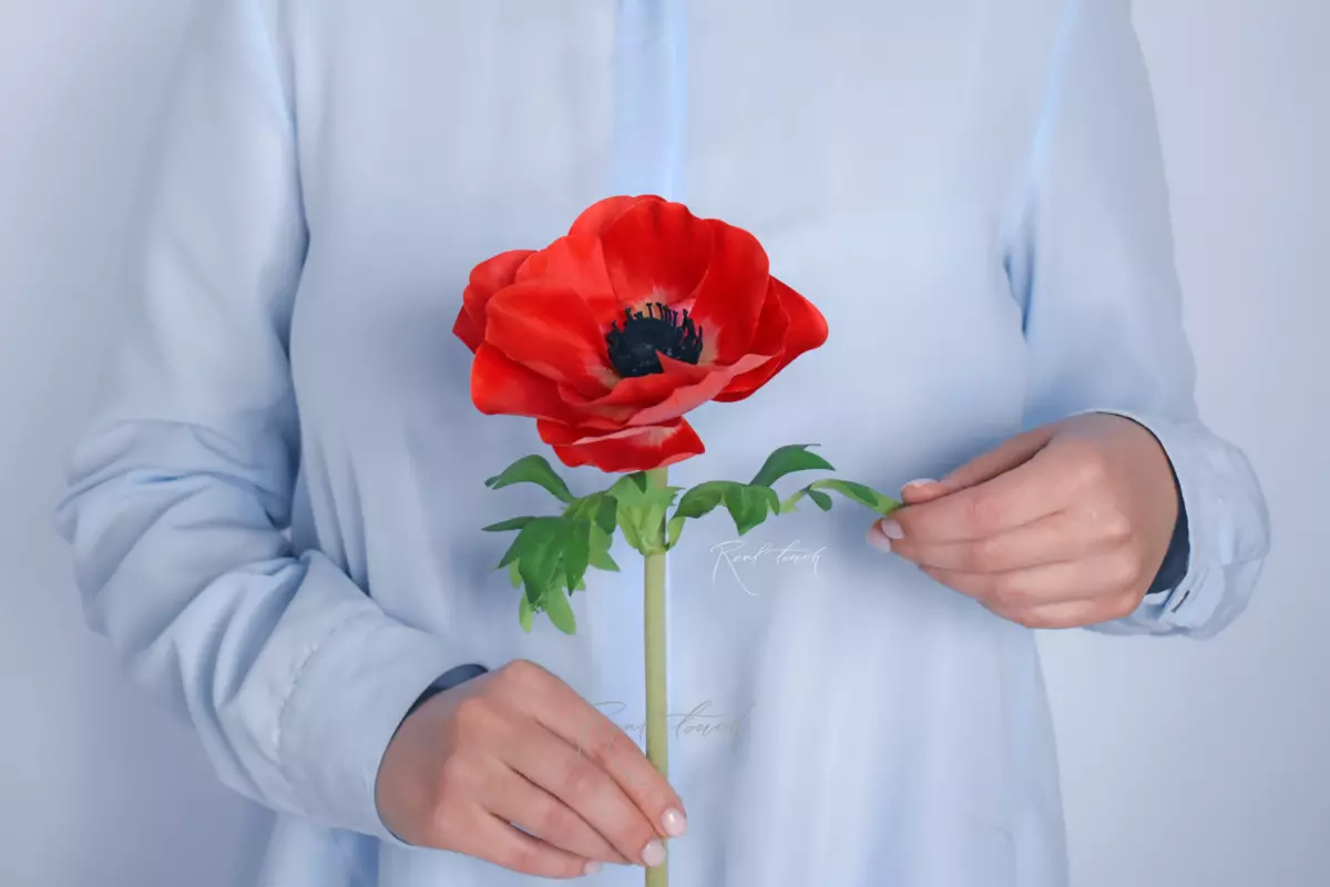 Анемона de Caen - Красный