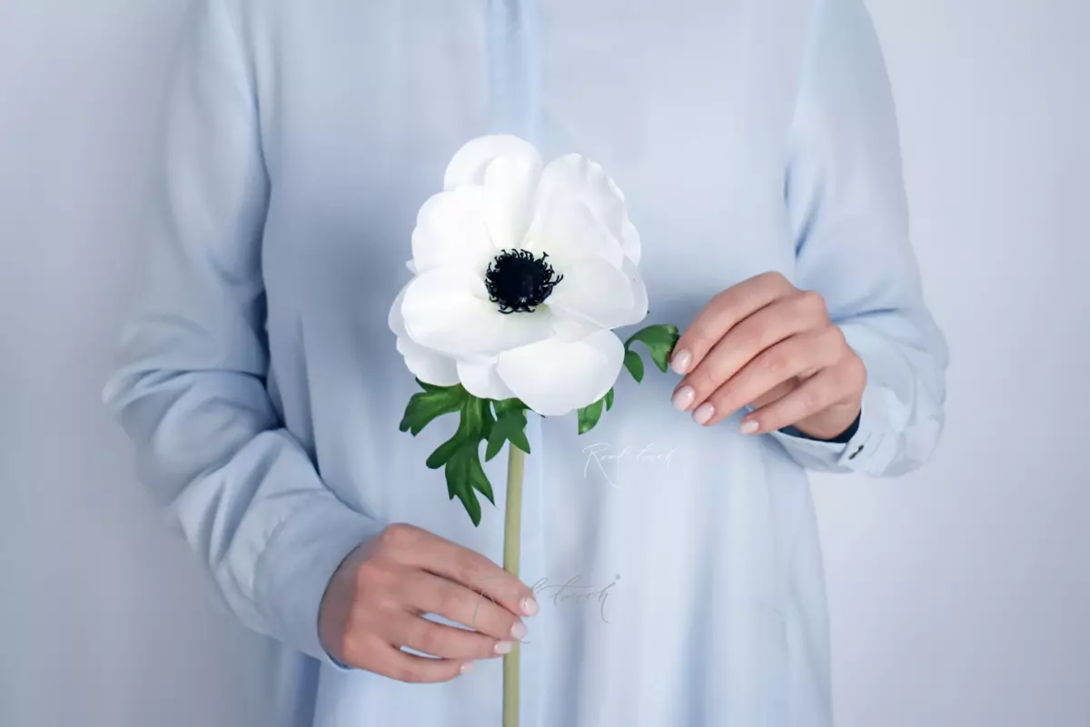 Анемона de Caen - Белый