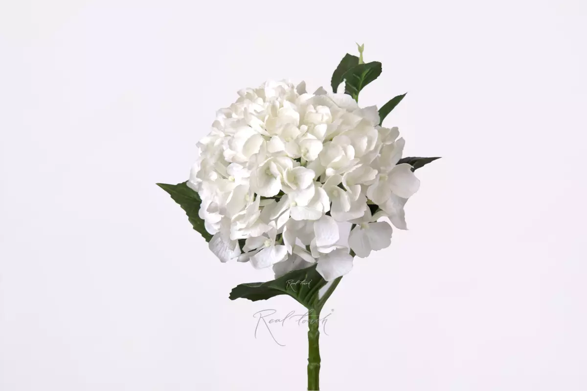 Гортензия крупнолистная small на стебле - Белый