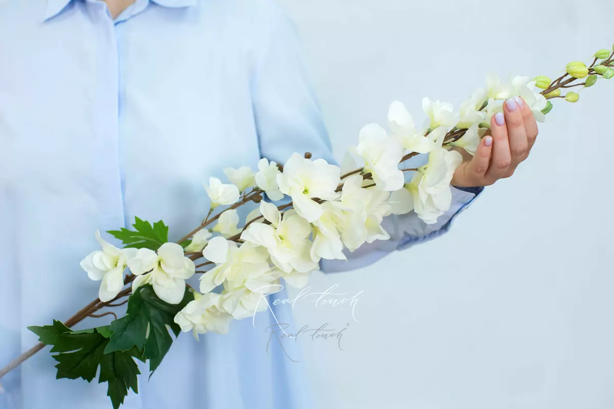 Дельфиниум с 2 ветками - Кремовый