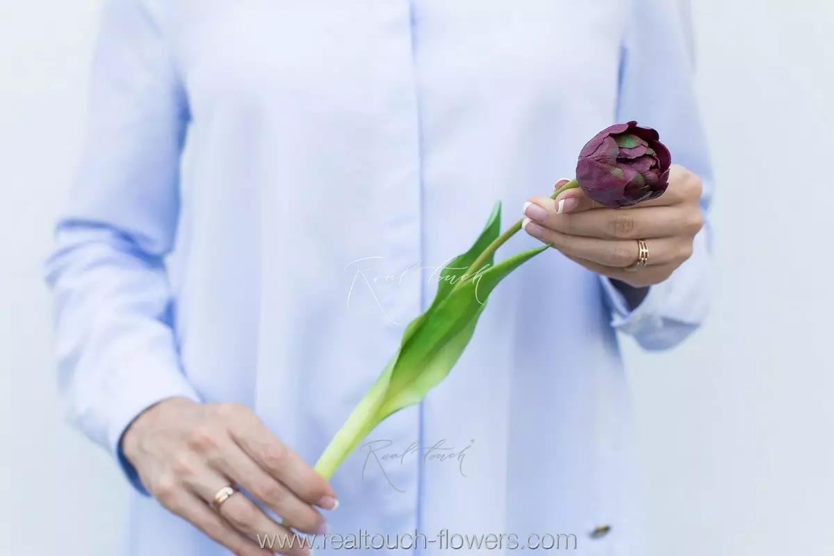 Тюльпан открытый - Фиолетовый