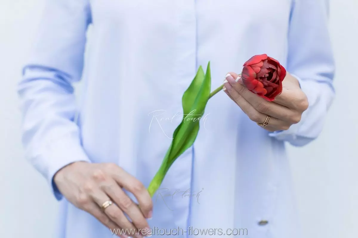 Тюльпан открытый - Красный