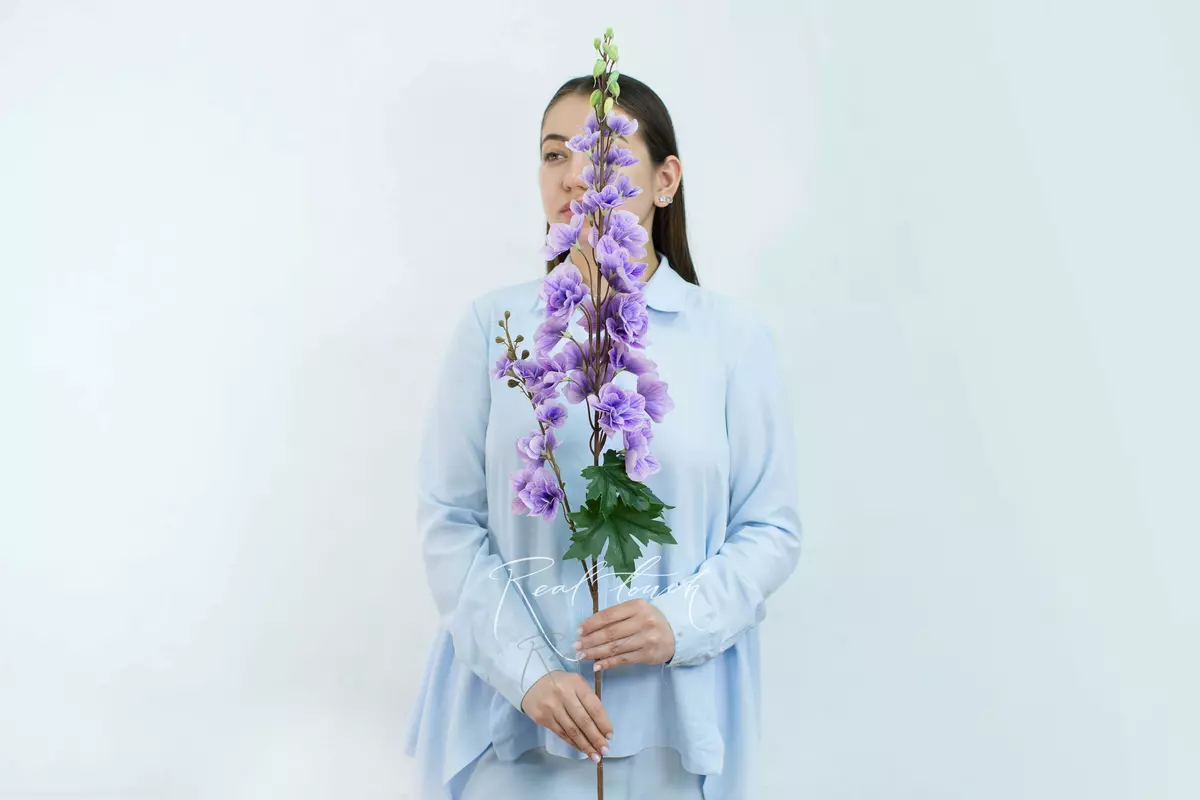 Дельфиниум с 2 ветками - Бело-фиолетовый