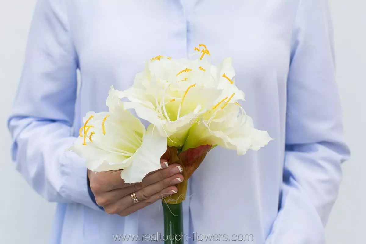 Амариллис большой - Белый