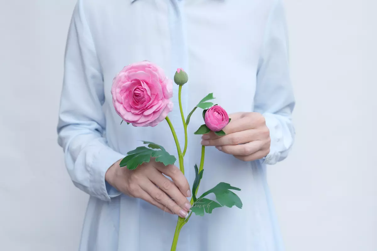 Ранункулюс азиатский Pauline - Розовый