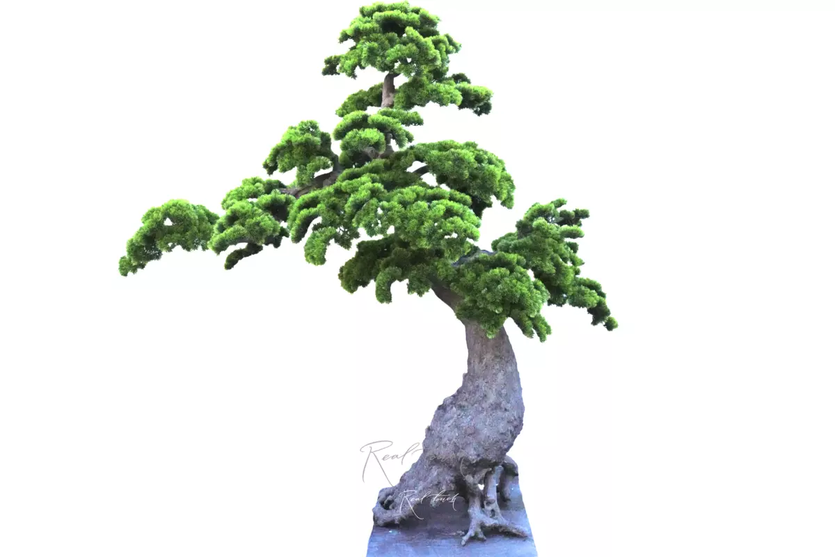 Бонсай в. 200 см/ ш. 200 см - Зеленый