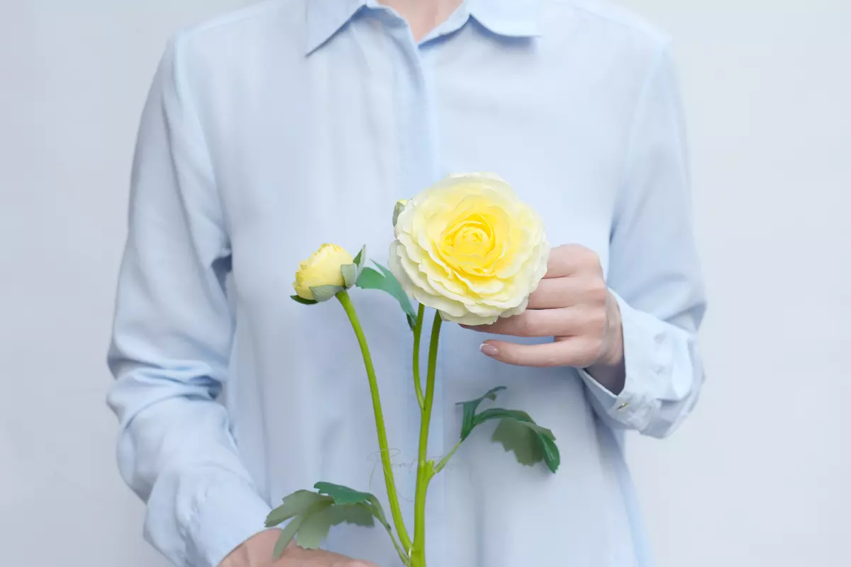 Ранункулюс азиатский Pauline - Светло-желтый Ранункулюс азиатский Pauline - Светло-желтый