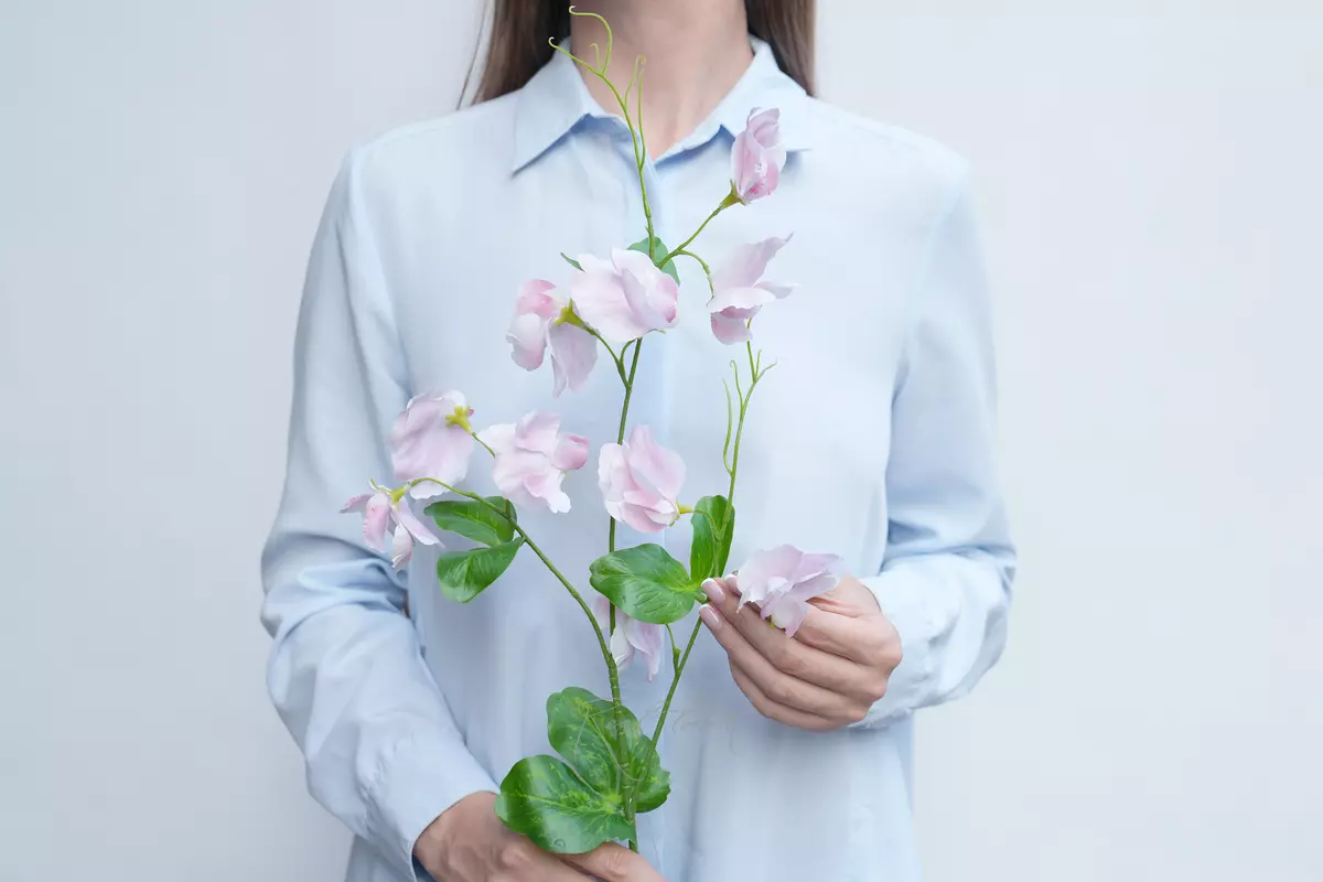 Латирус - Светло-розовый Латирус - Светло-розовый