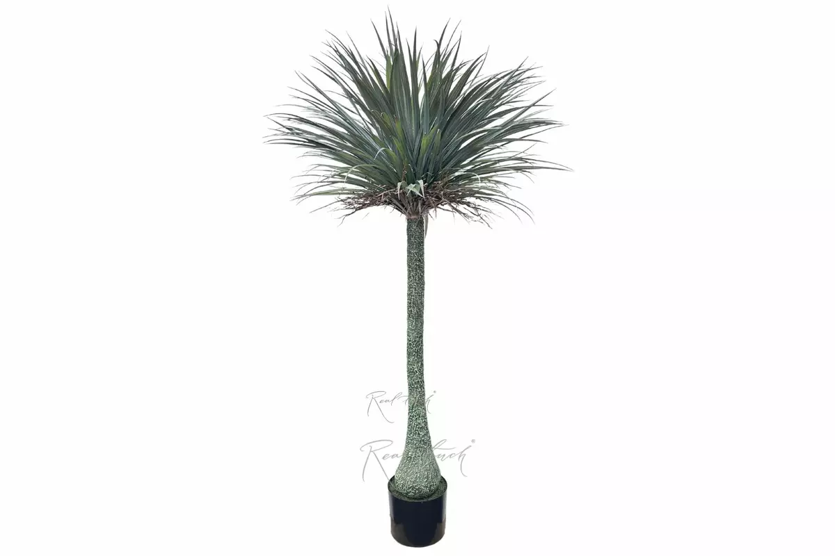 Нолина в кашпо 195см - Зеленый Нолина в кашпо 195см - Зеленый