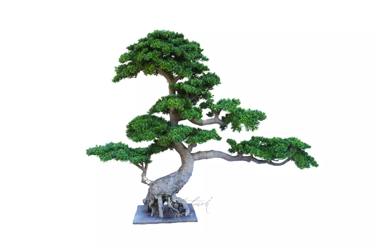 Бонсай - в. 190 см/ ш. 250 см - Зеленый