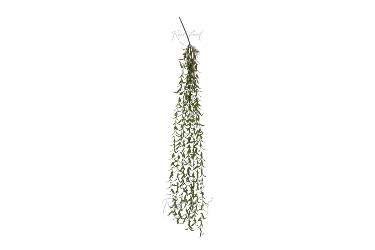 Ива узколистная ампельная 127 см - Зеленый