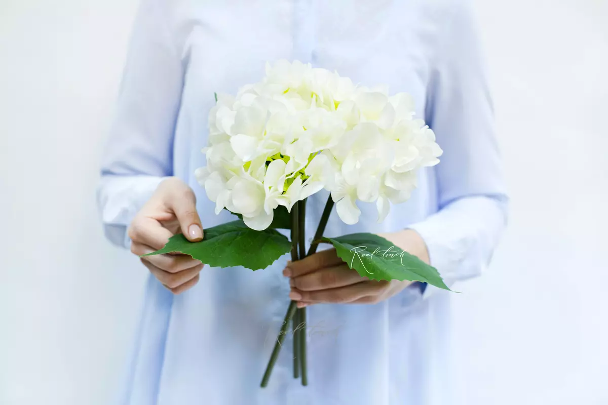 Букет из 3-х гортензий - Белый Букет из 3-х гортензий - Белый