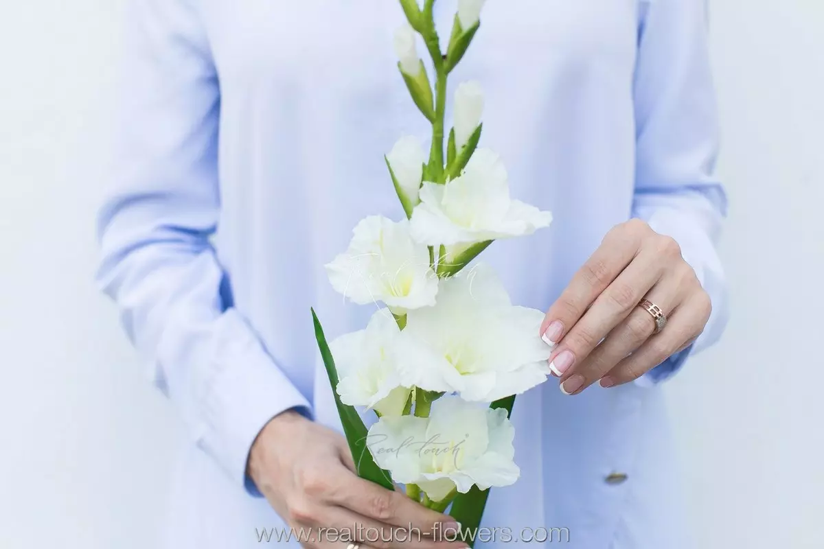 Гладиолус - Белый