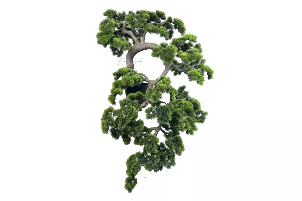 Бонсай каскад с длинной иглой в. 145 см/ ш. 95 см - Зеленый