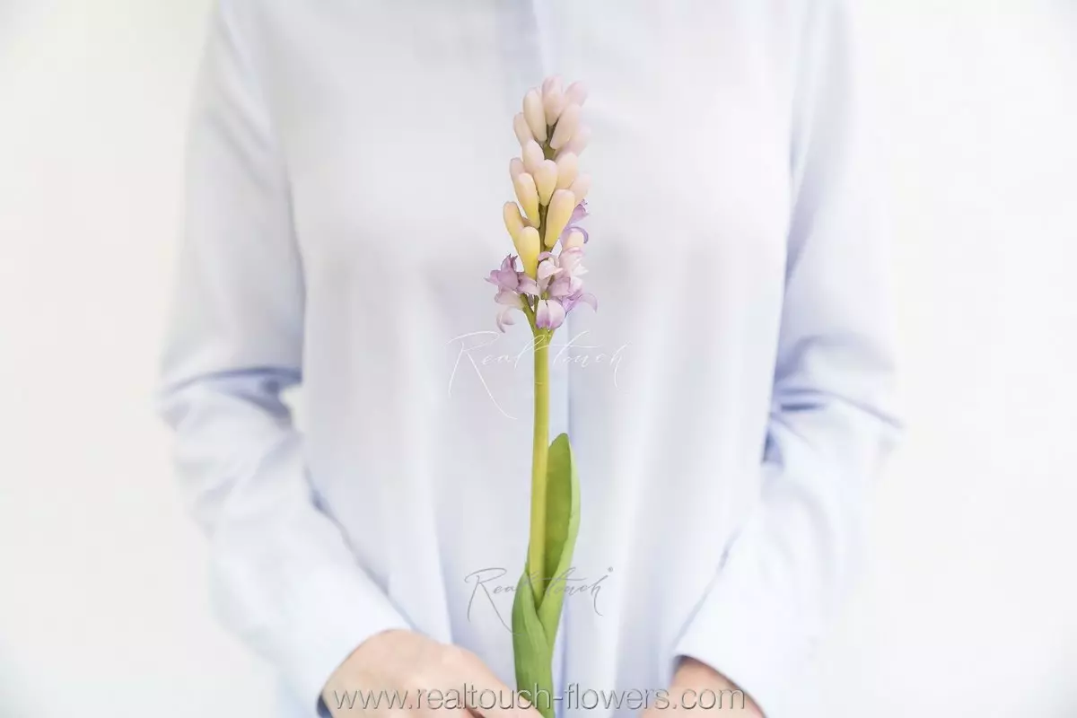 Гиацинт закрытый - Светло-фиолетовый Гиацинт закрытый - Светло-фиолетовый